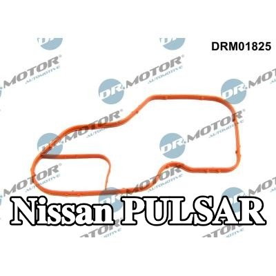 DR.MOTOR AUTOMOTIVE حشية غلاف الثرموستات بجانب ناقل الحركة — Nissan Pulsar