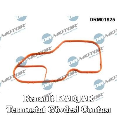 DR.MOTOR AUTOMOTIVE Termostat muhafazası contası şanzıman tarafı — 2016 Renault Kadjar