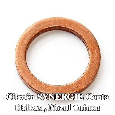 ELRING Conta halkası, nozul tutucu — 1997 Citroën Synergie