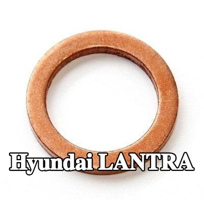 ELRING حلقة مانعة للتسرب، حامل الفوهة — Hyundai Lantra
