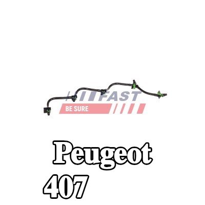 FAST خط الوقود — Peugeot 407