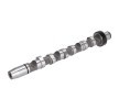 FEBI BILSTEIN Eksantrik Mili Emme Tarafı, silindir için 1-3 — Audi Allroad (1)
