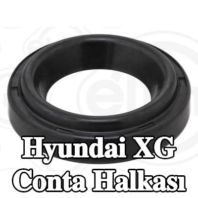 ELRING Conta halkası — Hyundai Xg