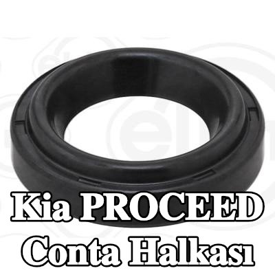 ELRING Conta halkası — 2012 Kia Proceed
