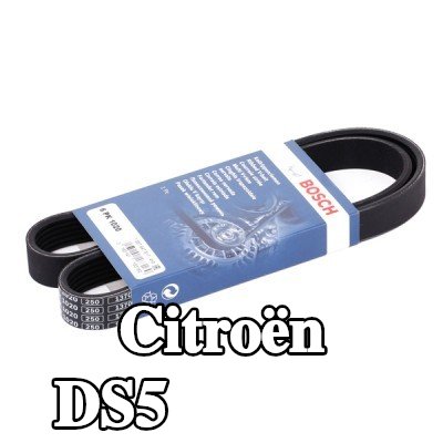 BOSCH حزام سيربنتين 1020mm, Number of ribs: 6 — Citroën Ds5
