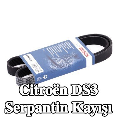 BOSCH Serpantin kayışı 1020mm, Number of ribs: 6 — Citroën Ds3