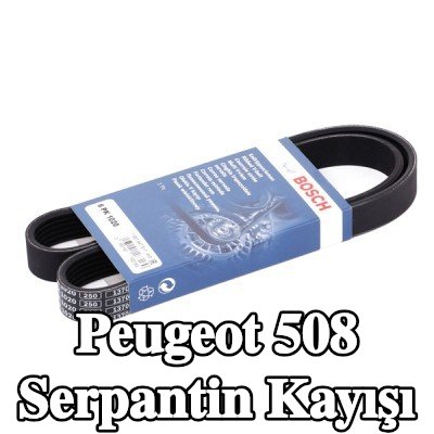 BOSCH Serpantin kayışı 1020mm, Number of ribs: 6 — 2012 Peugeot 508