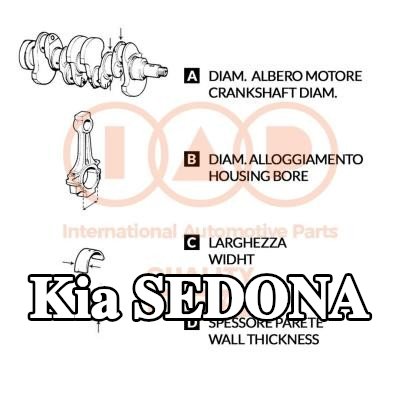 IAP QUALITY PARTS مجموعة محامل قضيب التوصيل — Kia Sedona