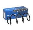 SACHS Helezon yay — Renault Modus / Grand Modus (1)