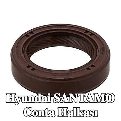 ELRING Conta halkası — Hyundai Santamo