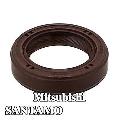 ELRING حلقة مانعة للتسرب — Mitsubishi Santamo