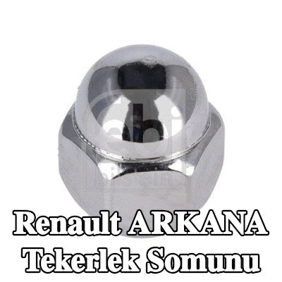 FEBI BILSTEIN Tekerlek Somunu 21 — Renault Arkana
