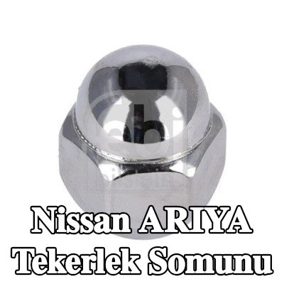 FEBI BILSTEIN Tekerlek Somunu 21 — Nissan Ariya