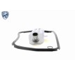 VAICO طقم مرشح ناقل الحركة الأوتوماتيكي — Renault 21 (8)