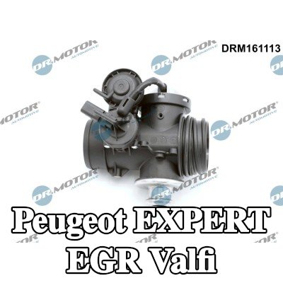 DR.MOTOR AUTOMOTIVE EGR valfi — 1998 Peugeot Expert