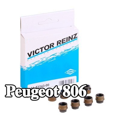 REINZ مجموعة سدادات صمامات الصمامات — Peugeot 806