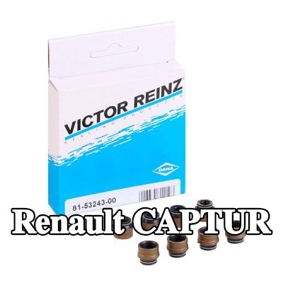 REINZ مجموعة سدادات صمامات الصمامات — 2016 Renault Captur