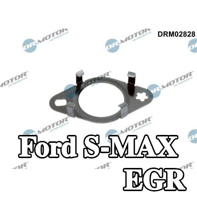 DR.MOTOR AUTOMOTIVE حشية أنبوب صمام EGR — Ford S-max