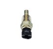 NRF Sensör, coolant temperature 3/8 NPT — Chevrolet Impala (1)