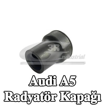 3RG Radyatör kapağı — Audi A5