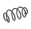 SACHS Helezon yay — Mercedes-Benz Cla (2)