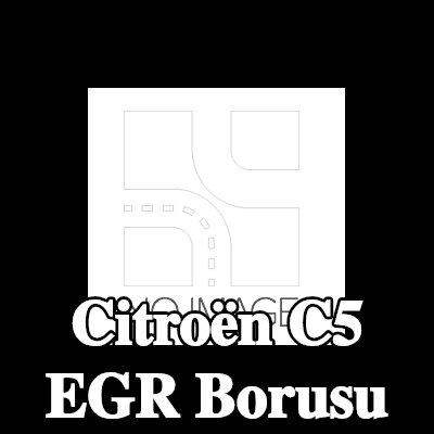 CITROEN/PEUGEOT EGR borusu — Citroën C5