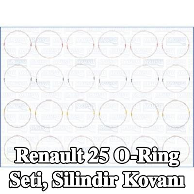 AJUSA O-Ring Seti, silindir kovanı — 1990 Renault 25