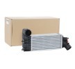 RIDEX Intercooler — Peugeot 607 (1)