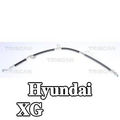 TRISCAN خرطوم الفرامل 705mm — Hyundai Xg