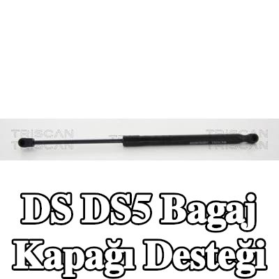 TRISCAN Bagaj kapağı desteği 425mm — DS Ds5