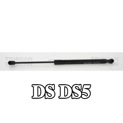 TRISCAN دعامة الباب الخلفي 425mm — DS Ds5