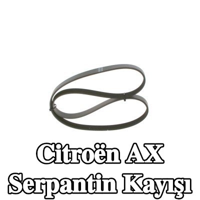BOSCH Serpantin kayışı 1025mm, Number of ribs: 5 — Citroën Ax