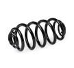 SACHS Helezon yay — Opel Cascada (2)
