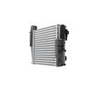 HELLA Intercooler — DS Ds9 (1)