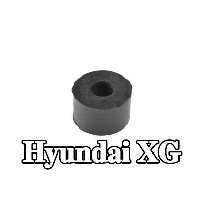 TEDGUM التثبيت، ممتصات الصدمات — Hyundai Xg