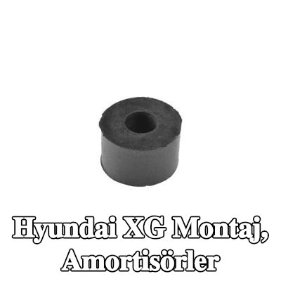 TEDGUM Montaj, amortisörler — Hyundai Xg