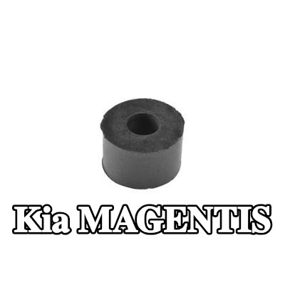 TEDGUM التثبيت، ممتصات الصدمات — 2002 Kia Magentis