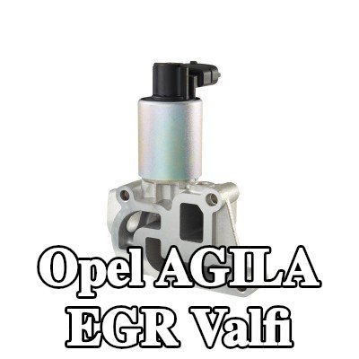 HELLA Contalı/sızdırmazlık elemanlı EGR valfi — 2000 Opel Agila