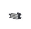 MAHLE Intercooler — Ford Transit Connect (2)