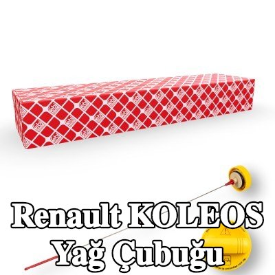 FEBI BILSTEIN Yağ Çubuğu — Renault Koleos