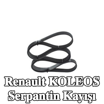 BOSCH Serpantin kayışı 1705mm, Number of ribs: 7 — Renault Koleos