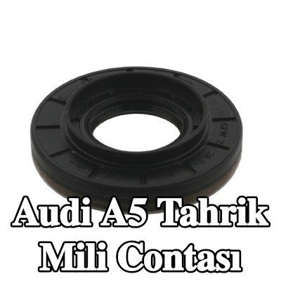 FEBI BILSTEIN Tahrik mili contası Arka — Audi A5