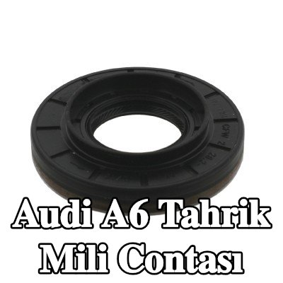 FEBI BILSTEIN Tahrik mili contası Arka — 2011 Audi A6