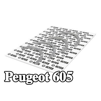 GLYCO صامولة الدفع، العمود المرفقي — Peugeot 605