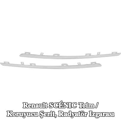 DIEDERICHS Trim / koruyucu şerit, her iki taraf radyatör ızgarası — Renault Scénic
