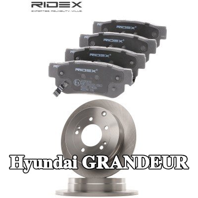 RIDEX مجموعة أقراص الفرامل والوسادات للمحور الخلفي, صلب — 2009 Hyundai Grandeur