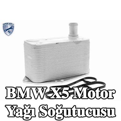 VEMO Conta/sızdırmazlık elemanlı motor yağı soğutucusu — 2002 BMW X5