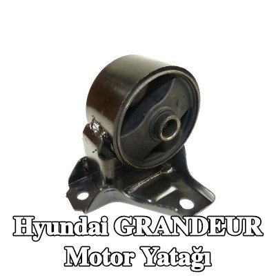 CORTECO Motor yatağı — 2005 Hyundai Grandeur