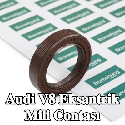 Borsehung Eksantrik mili contası Aks kirişi — Audi V8
