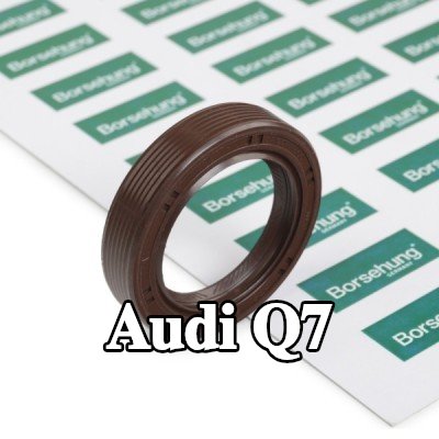 Borsehung مانع تسرب عمود الكامات عمود المحور — 2006 Audi Q7